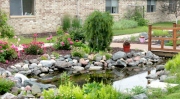RB courtyard with pond for Amenities photo.jpg